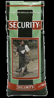 Security 20/10