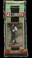 Security 20/10